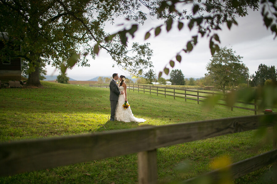 Farm-Candler-Nc-Wedding-Photos_01