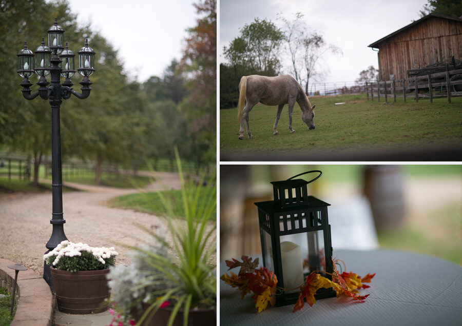 Farm-Candler-Nc-Wedding-Photos_03