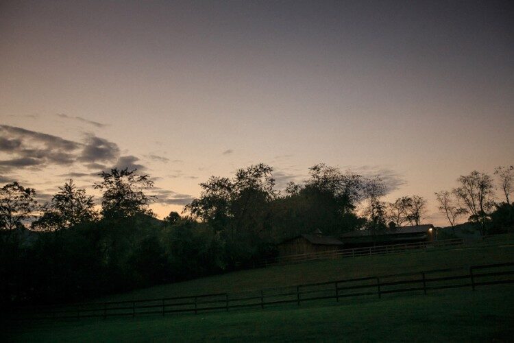 Farm-Candler-Wedding_0051-750X500-1