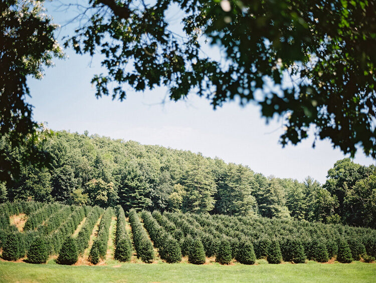 Sawyer-Family-Farmstead-Wedding-2