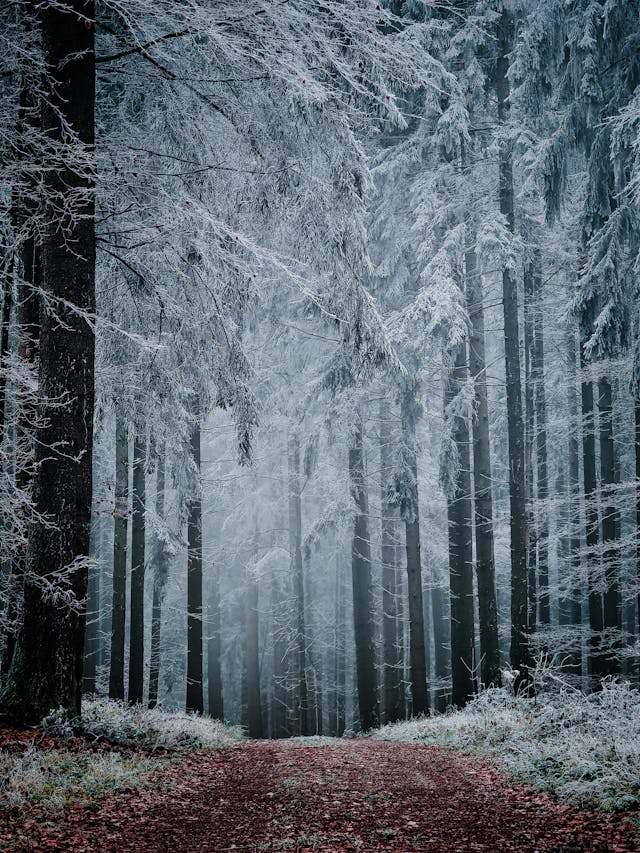 Winter Engagement Photos: Creative Ideas 8 - Blue Bend Photography Winter Engagement Photos: Creative Ideas 7