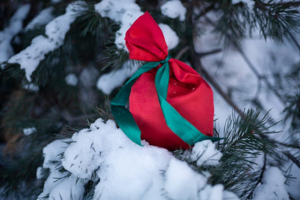 Winter Engagement Photos: Creative Ideas 4 - Blue Bend Photography Winter Engagement Photos: Creative Ideas 3