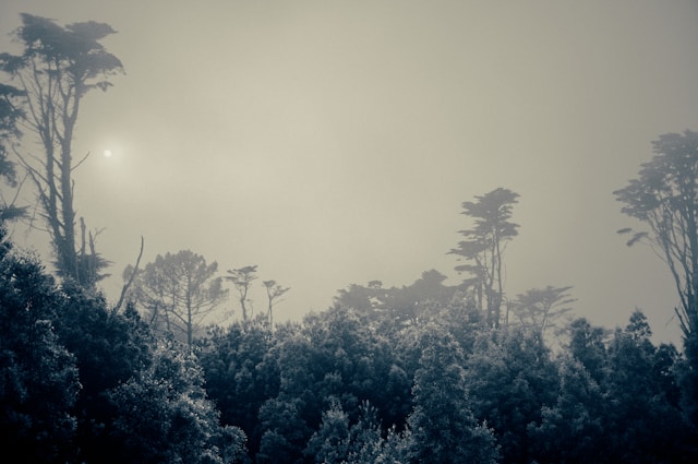 How to Reduce Noise in Photos: Practical Tips for Cleaner Images 2 - Blue Bend Photography How to Reduce Noise in Photos: Practical Tips for Cleaner Images 1