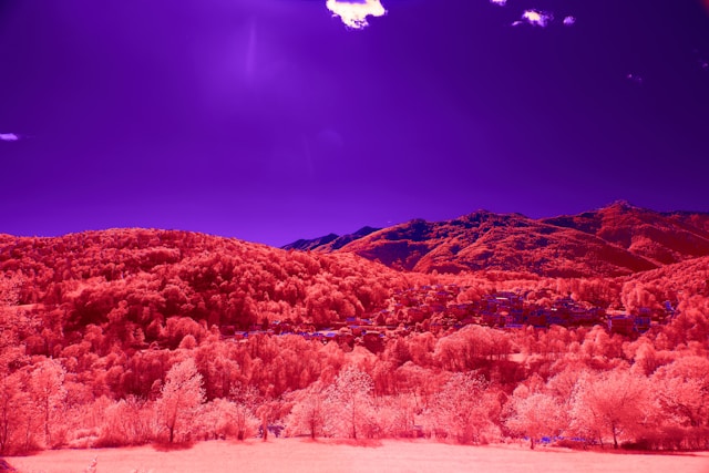 Infrared Photography: A Practical Guide to Capturing IR Photos 3