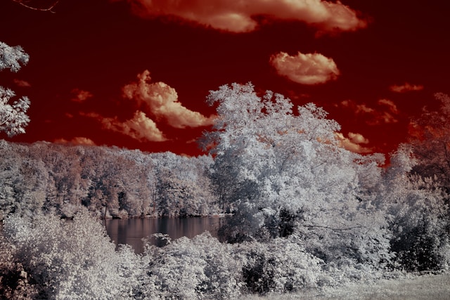Infrared Photography: A Practical Guide to Capturing IR Photos 6