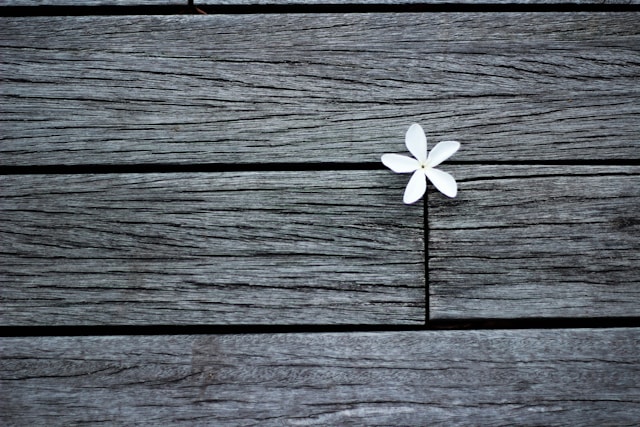 Rule of Thirds Photography 7