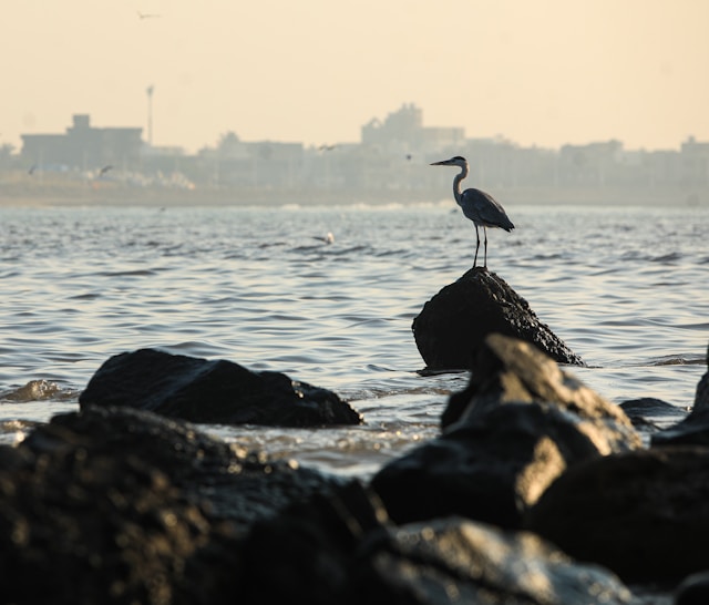 Rule of Thirds Photography 5