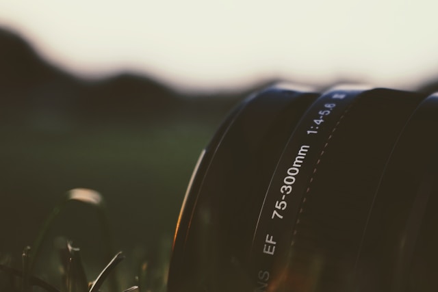 TFP Photography 3