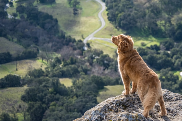 Rule of Thirds Photography 1