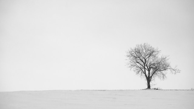 Black and White Photography: Why Monochrome Photography Is Always Relevant. 1