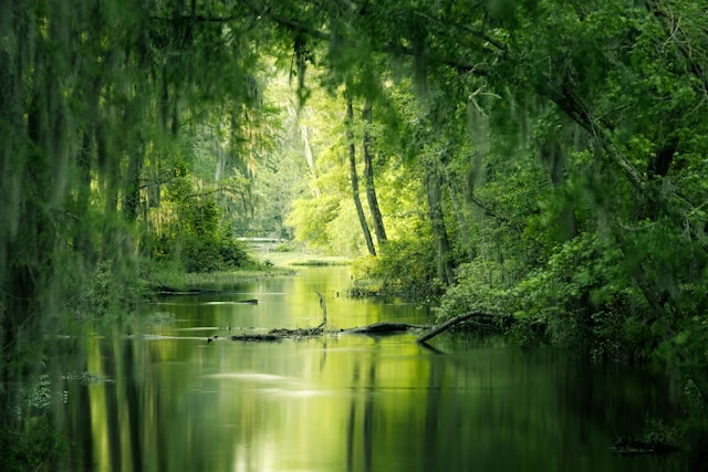 Landscape Photography 4 - Blue Bend Photography Landscape Photography 3