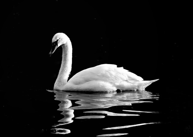 Black and White Photography: Why Monochrome Photography Is Always Relevant. 3