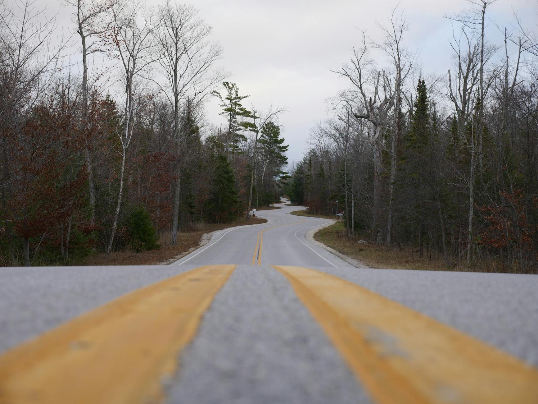 Leading Lines in Photography: What They Are, How to Find Them, and Why They Work 5